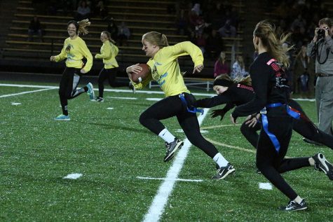 Powder Puff