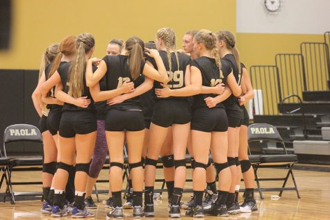 Volleyball Profiles