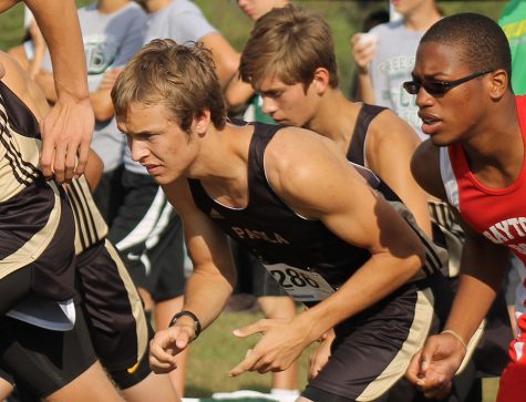 Cross Country Profiles
