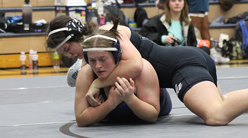 Wrestling season wraps up with state success